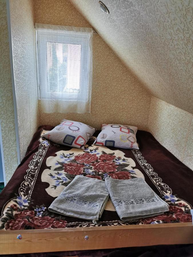 Petrovskaya Pristan 2 Hotel Чолпон-Ата Екстериор снимка